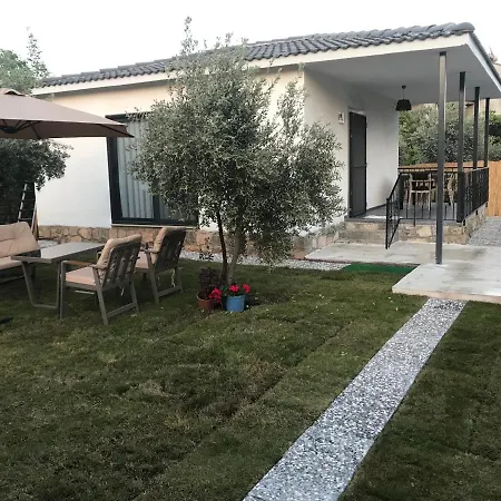 Villa_olive *
